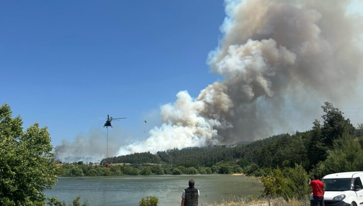 Bursa’da iki başka noktada orman yangını