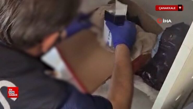 Çanakkale’de ayakkabı kutusu içinde piyasa kıymeti 1 milyon TL olan bonzai yakalandı