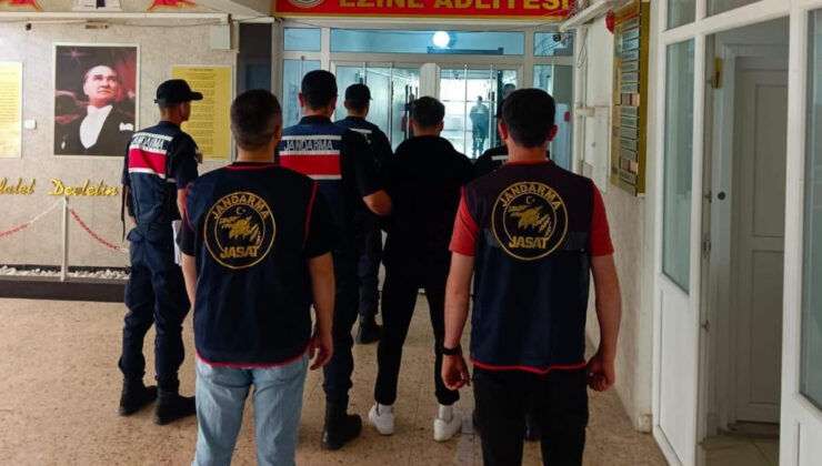 Çanakkale’de orman yangınlarıyla ilgili gözaltı