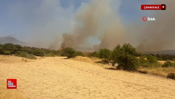 Çanakkale’de tarım yerinde yangın