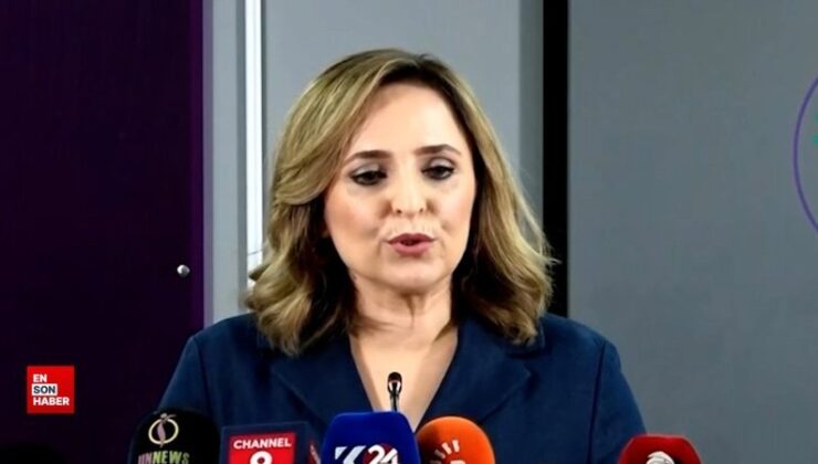 DEM Parti: İmralı Adası’na gitmek üzere hazırlık yapıyoruz