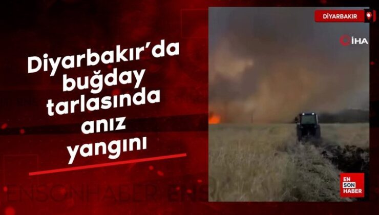 Diyarbakır’da buğday tarlasında anız yangını