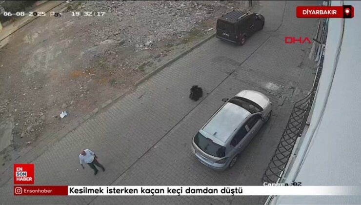 Diyarbakır’da kesilmek isterken kaçan keçi damdan düştü