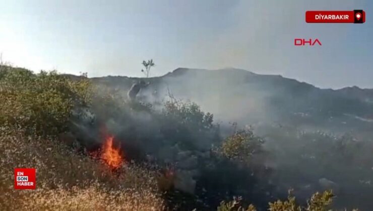 Diyarbakır’da örtü yangını, 2 saatte denetim altına alındı
