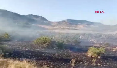Diyarbakır’da örtü yangını paniği