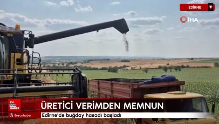 Edirne’de buğday hasadı başladı: Üretici randımandan mutlu