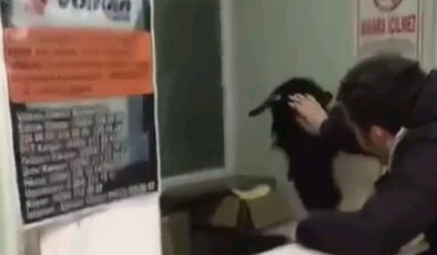 Edirne’de otogara giren inatçı keçi çekmeceden paraları alıp kaçtı