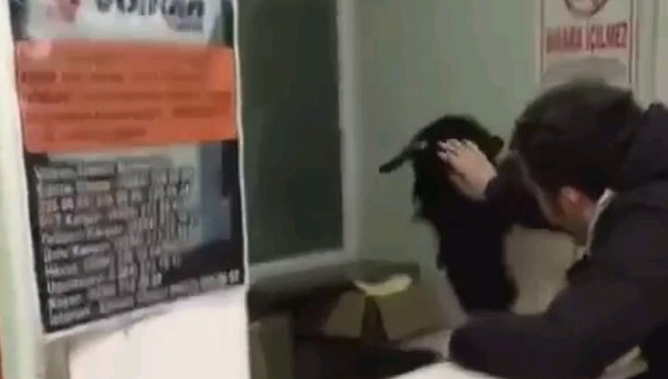 Edirne’de otogara giren inatçı keçi çekmeceden paraları alıp kaçtı