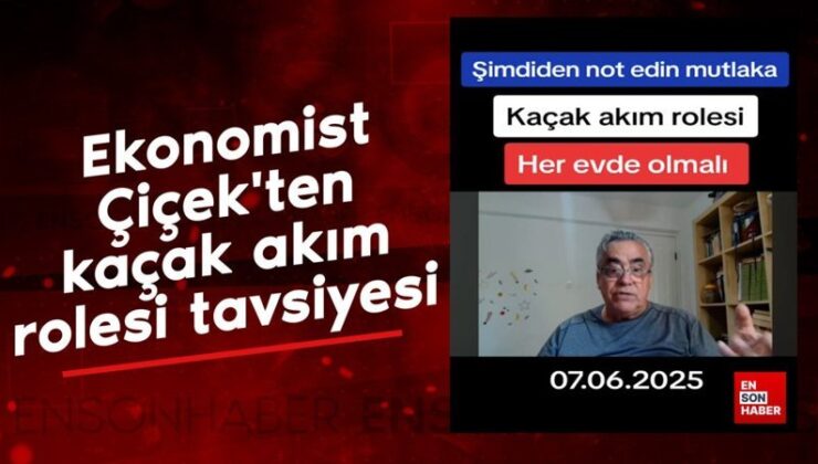 Ekonomist Çiçek’ten kaçak akım rolesi uyarısı: Her meskende olmalı
