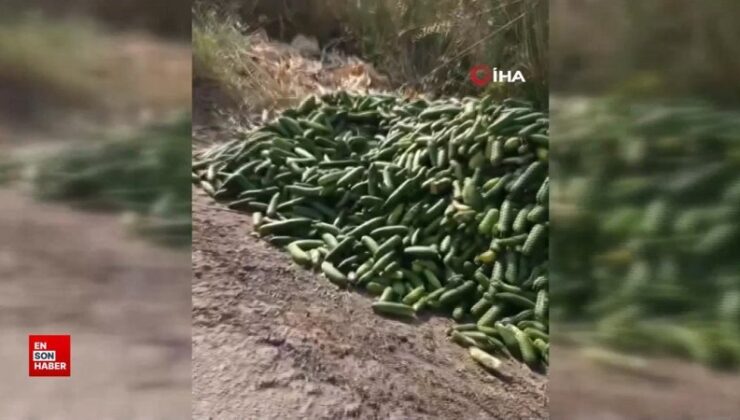Eserleri adabına uygun olarak imha etmeyenlere cezai yaptırımlar uygulanacak