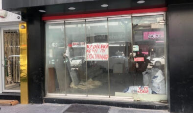 Eskişehir’de boş dükkanda bulunan kediler tartışmaya yol açtı