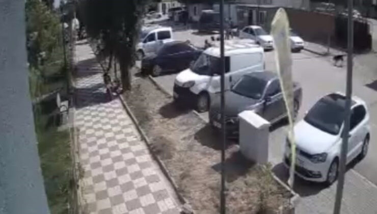 Gaziantep’te çocuklara köpek saldırısı