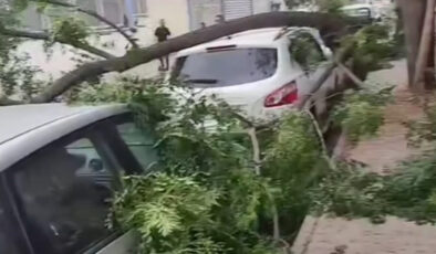 Gaziantep’te şiddetli fırtına: Ağaçlar devrildi, araçlar ziyan gördü