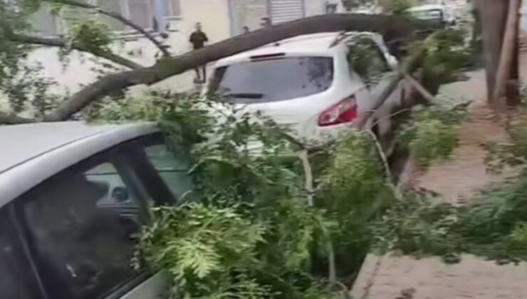 Gaziantep’te şiddetli fırtına: Ağaçlar devrildi, araçlar ziyan gördü