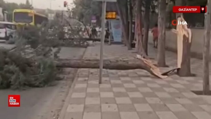 Gaziantep’te şiddetli fırtına çıktı