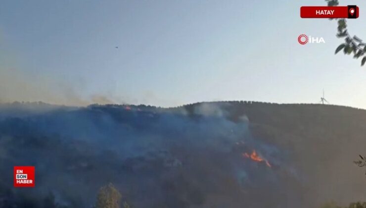 Hatay’da orman yangını