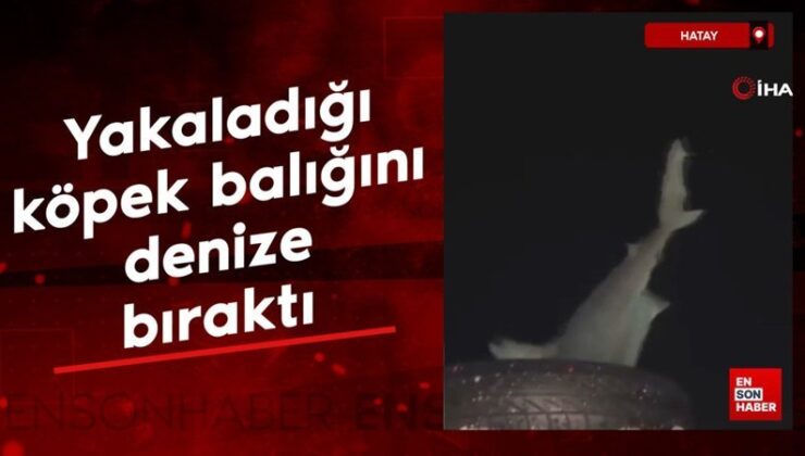Hatay’da yakaladığı köpek balığını denize bıraktı