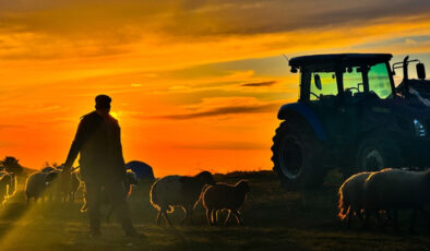 Hayvancılıkta yabancı çoban devri: Çalışma müsaadesi müracaatları başladı