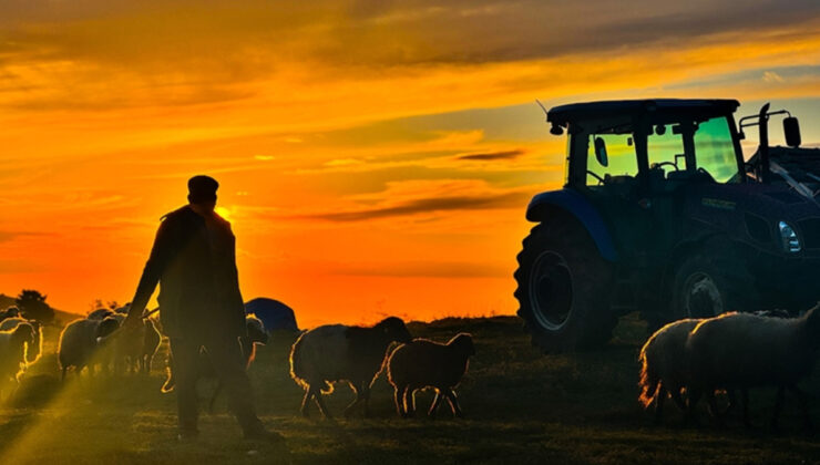 Hayvancılıkta yabancı çoban devri: Çalışma müsaadesi müracaatları başladı