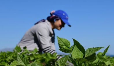 İbrahim Yumaklı: 7 bin 160 projeye 10,2 milyar TL hibe takviyesi vereceğiz