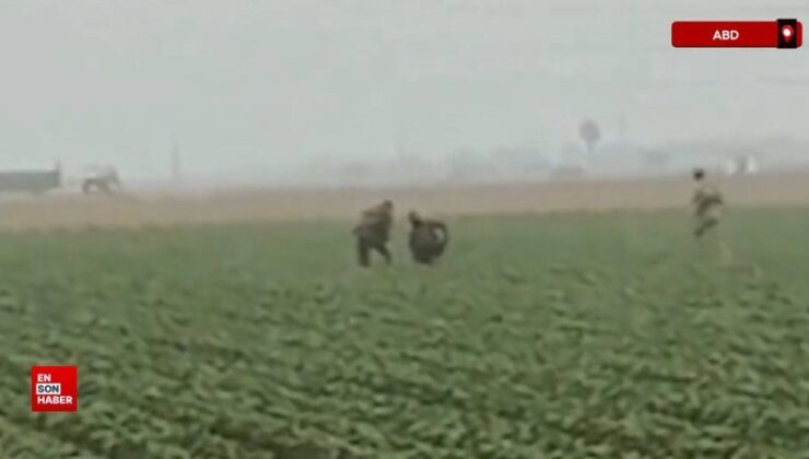 ICE, Kaliforniya’da tarlaya baskın düzenledi: Mevsimlik çalışanlar gözaltına alındı