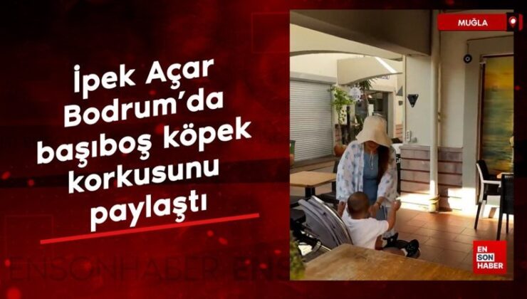 İpek Açar Bodrum’da başıboş köpek korkusunu paylaştı