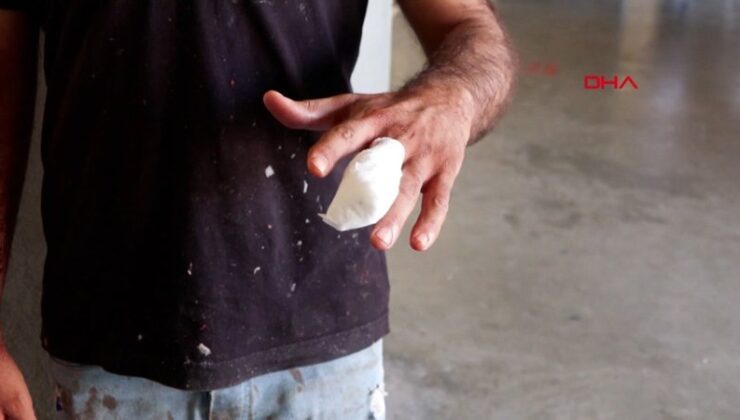 İstanbul’da Kurban Bayramı’nın birinci gününde 829 kişi yaralandı