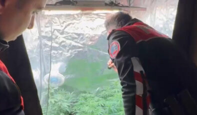 İstanbul’da uyuşturucu serasına çevrilen konuta baskın