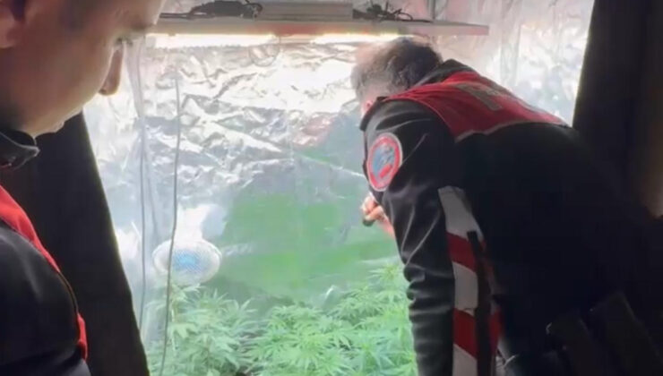 İstanbul’da uyuşturucu serasına çevrilen konuta baskın