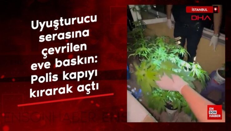 İstanbul’da uyuşturucu serasına çevrilen konuta baskın: Polis kapıyı kırarak açtı