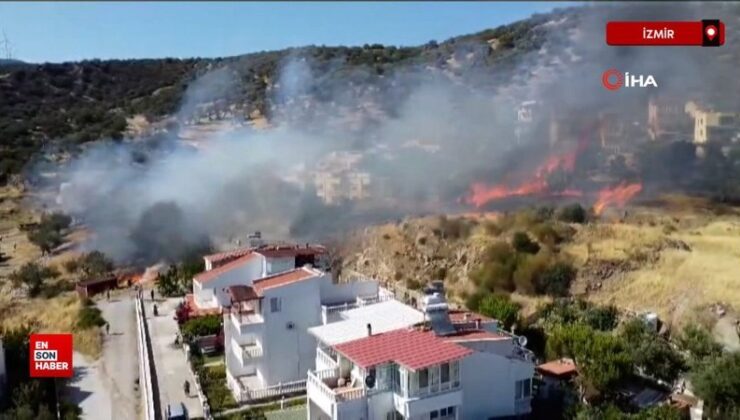 İzmir’de bir yangın da Dikili’de