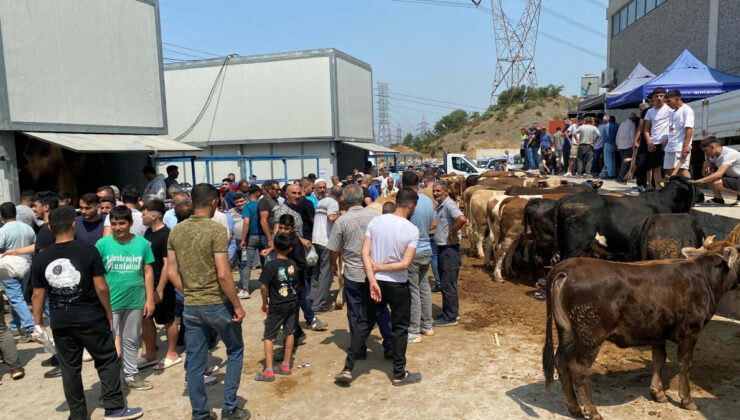 İzmir’de kurban kesim noktalarında yoğunluk