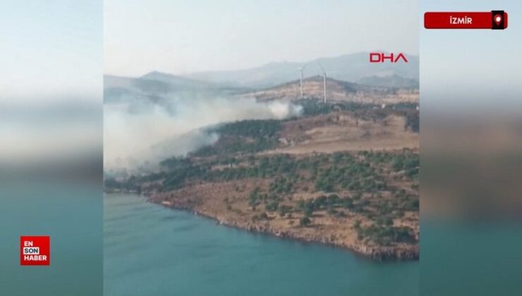 İzmir’de makilikte yangın