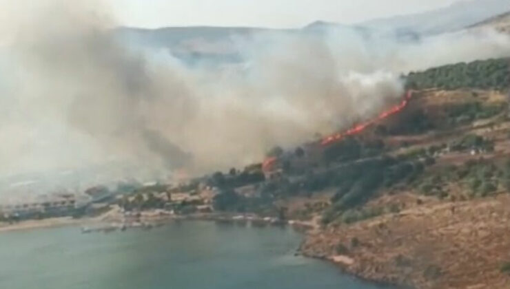 İzmir’de makilikte yangın