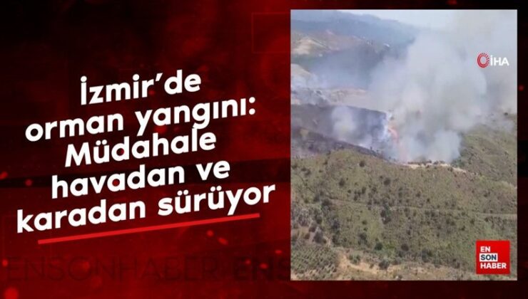 İzmir’de orman yangını: Müdahale havadan ve karadan sürüyor