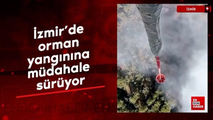 İzmir’de orman yangınına müdahale sürüyor