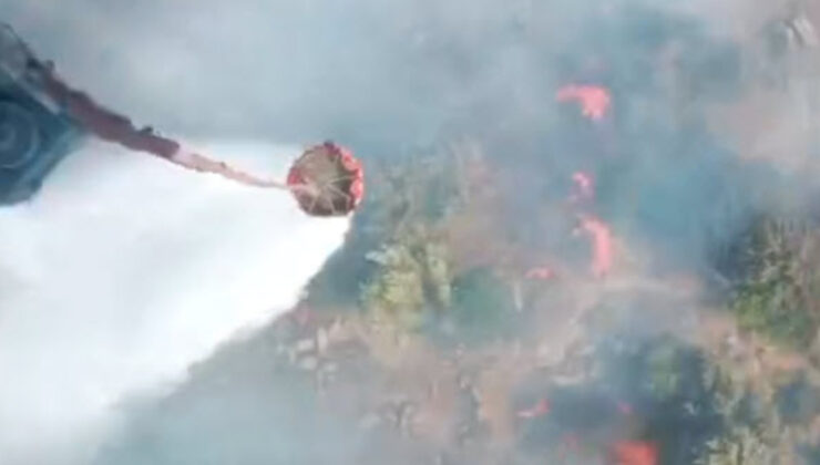 İzmir’de tarım toprağında yangın