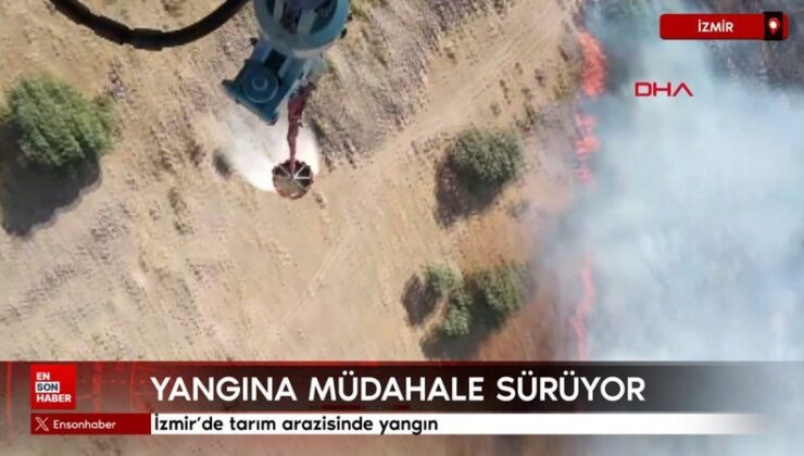 İzmir’de tarım yerinde yangın