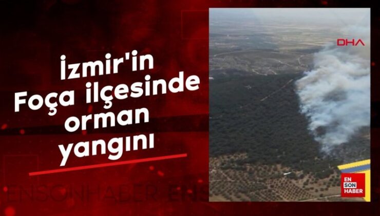 İzmir’in Foça ilçesinde orman yangını