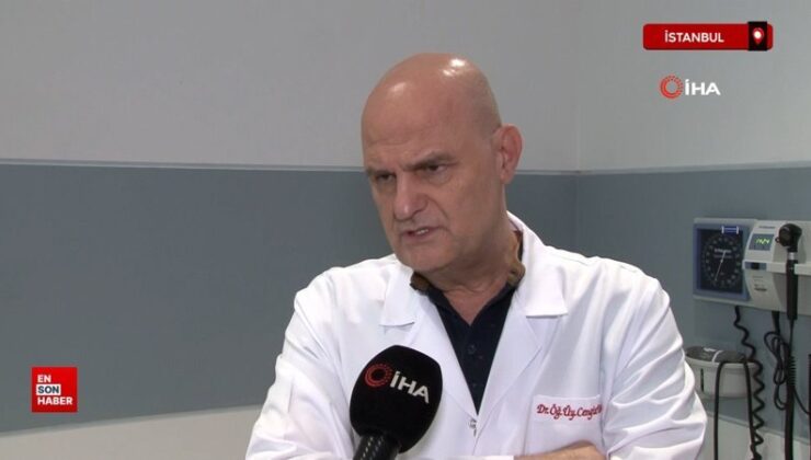 Kene tutundukça, hastalık riski artıyor: Gerekirse kendiniz çıkarın