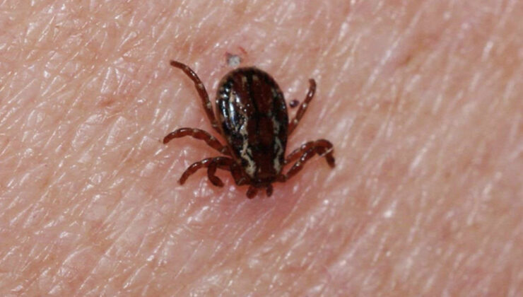 KKKA hastalığında mevt oranı yüzde 5’in altında