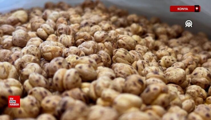 Konya’da coğrafik işaretli Seydişehir leblebisi üretimi 6 nesildir sürüyor