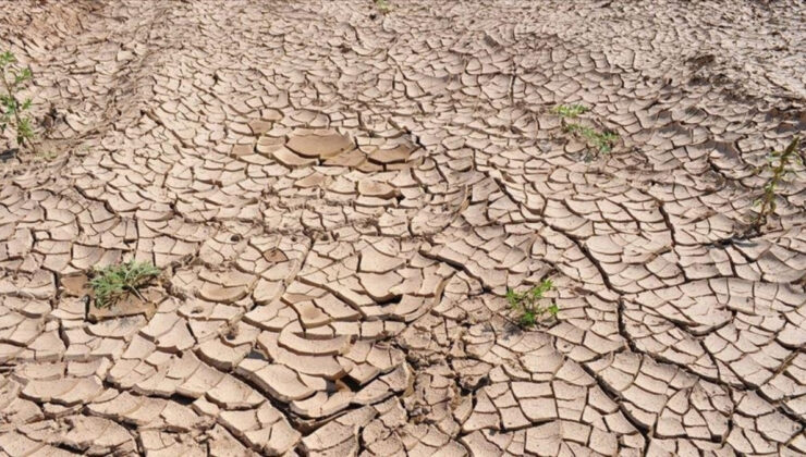 Kuraklık nedeniyle 2050’ye kadar 1 milyara yakın insan göç edecek