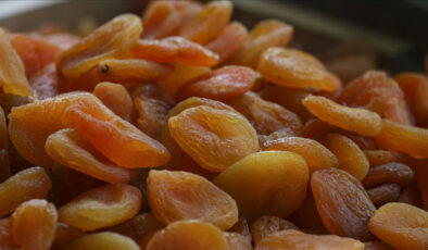 Malatya, yılın birinci 5 ayında 132 milyon dolarlık kuru kayısı ihraç etti