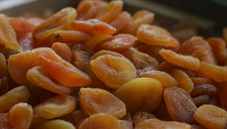 Malatya, yılın birinci 5 ayında 132 milyon dolarlık kuru kayısı ihraç etti