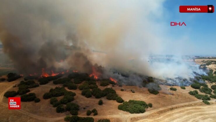 Manisa’da makilik yangını 3 saatte denetim altına alındı