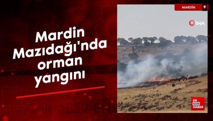 Mardin Mazıdağı’nda orman yangını