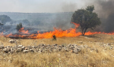 Mardin’de alevler tekrar yükseldi