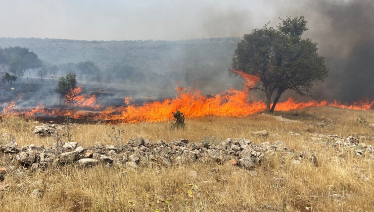 Mardin’de alevler tekrar yükseldi