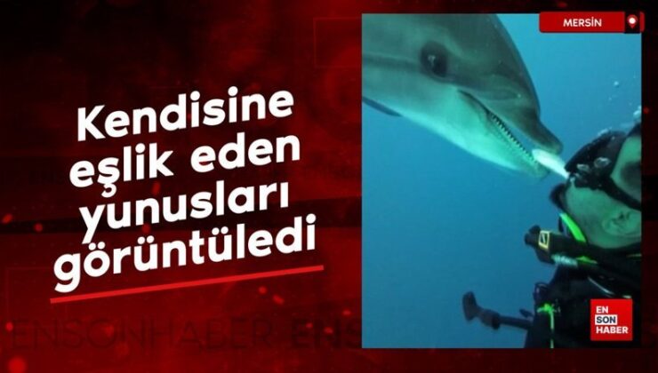Mersin açıklarında dalış yapan dalgıç, kendisine eşlik eden yunusları görüntüledi